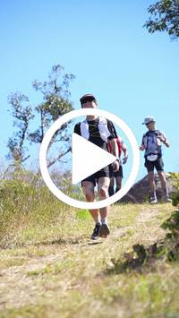 BIB:  <button type="button" onclick="openModal(26596484)" class="btn btn-primary btn-sm float-right" data-toggle="modal" data-target=".modal-high-quality">
                <i class="fa fa-download"></i> Download
                </button>